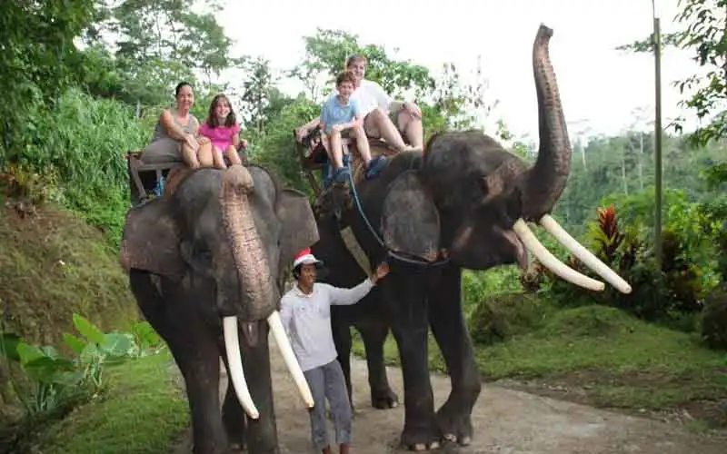 elephant ride elephant ride